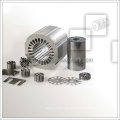 General Motor Applied Electric Steel